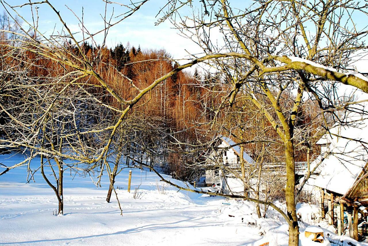 Biotanika Vila Michalkowa Exterior foto